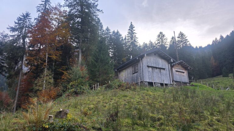 Die ersten Fotos vo Ämmätter